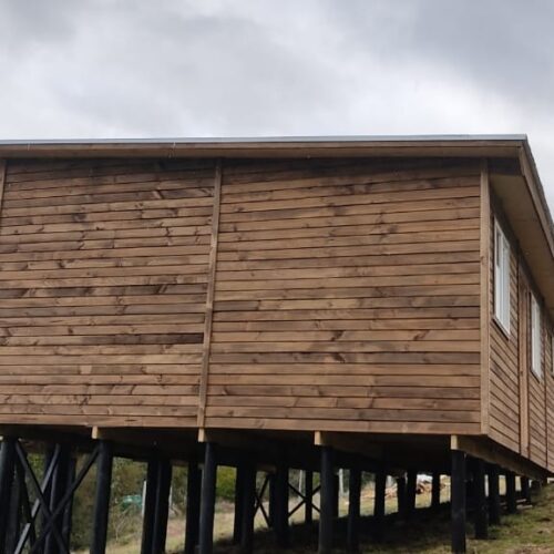 Huilo Huilo 11 Huilo Huilo 11