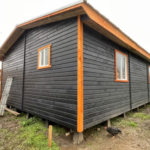 Petrohué 3 Petrohué 3